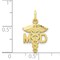 10K Yellow Gold Doctor of Medicine MD Caduceus Charm Jewerly 22mm x 13mm
